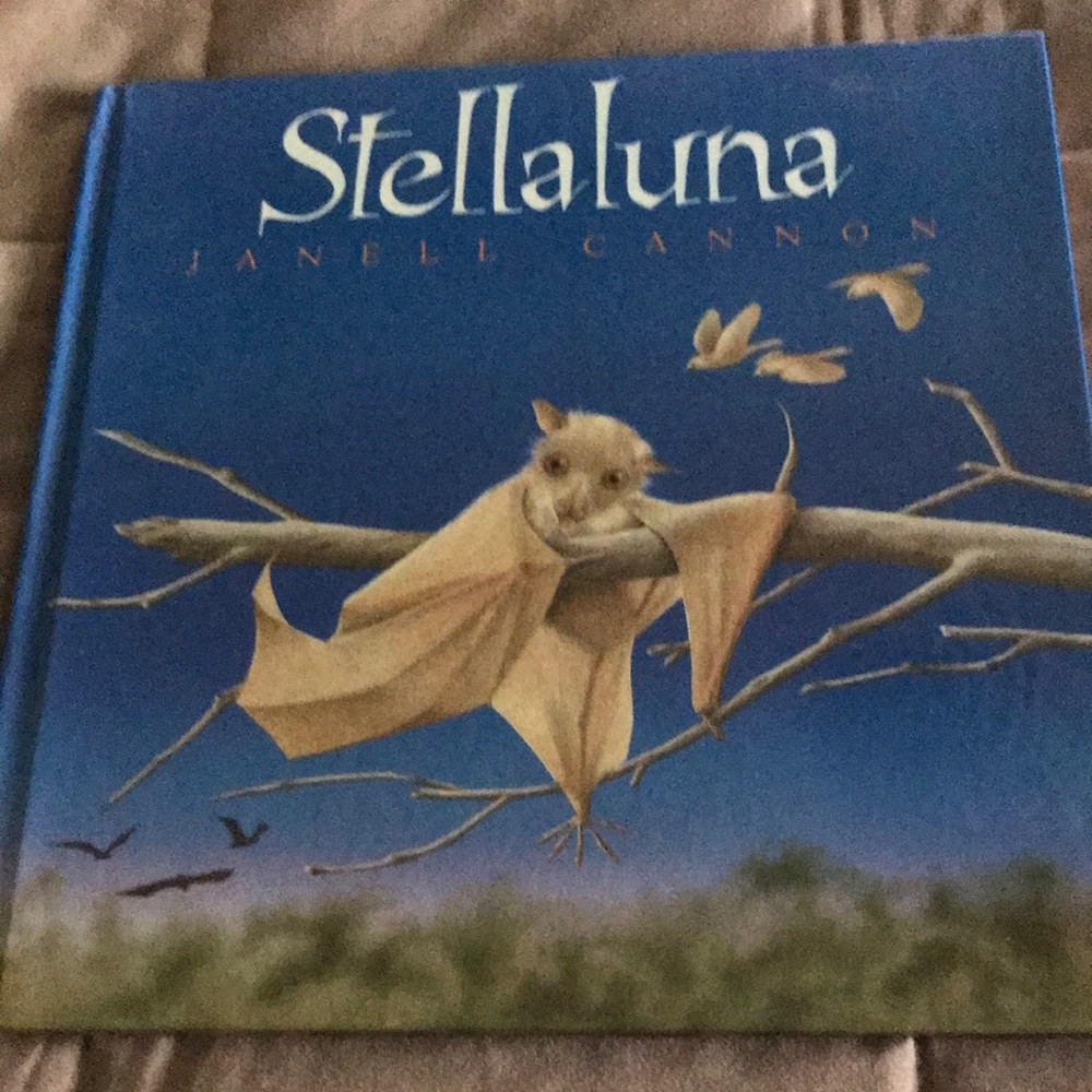 Stellaluna by Janell Cannon Hardcover Book